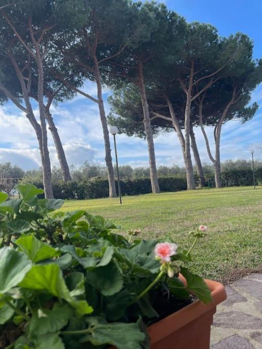 I Granai Apartment Venturina Terme
