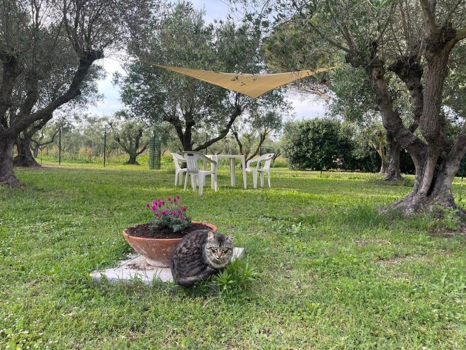 Apartment I Granai Venturina Terme